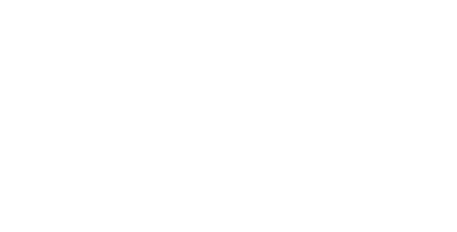 Logo icon white